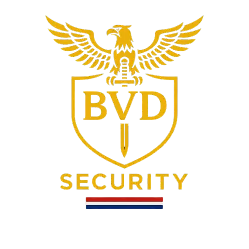 BVD Logo